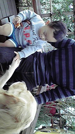 �Б��̕���