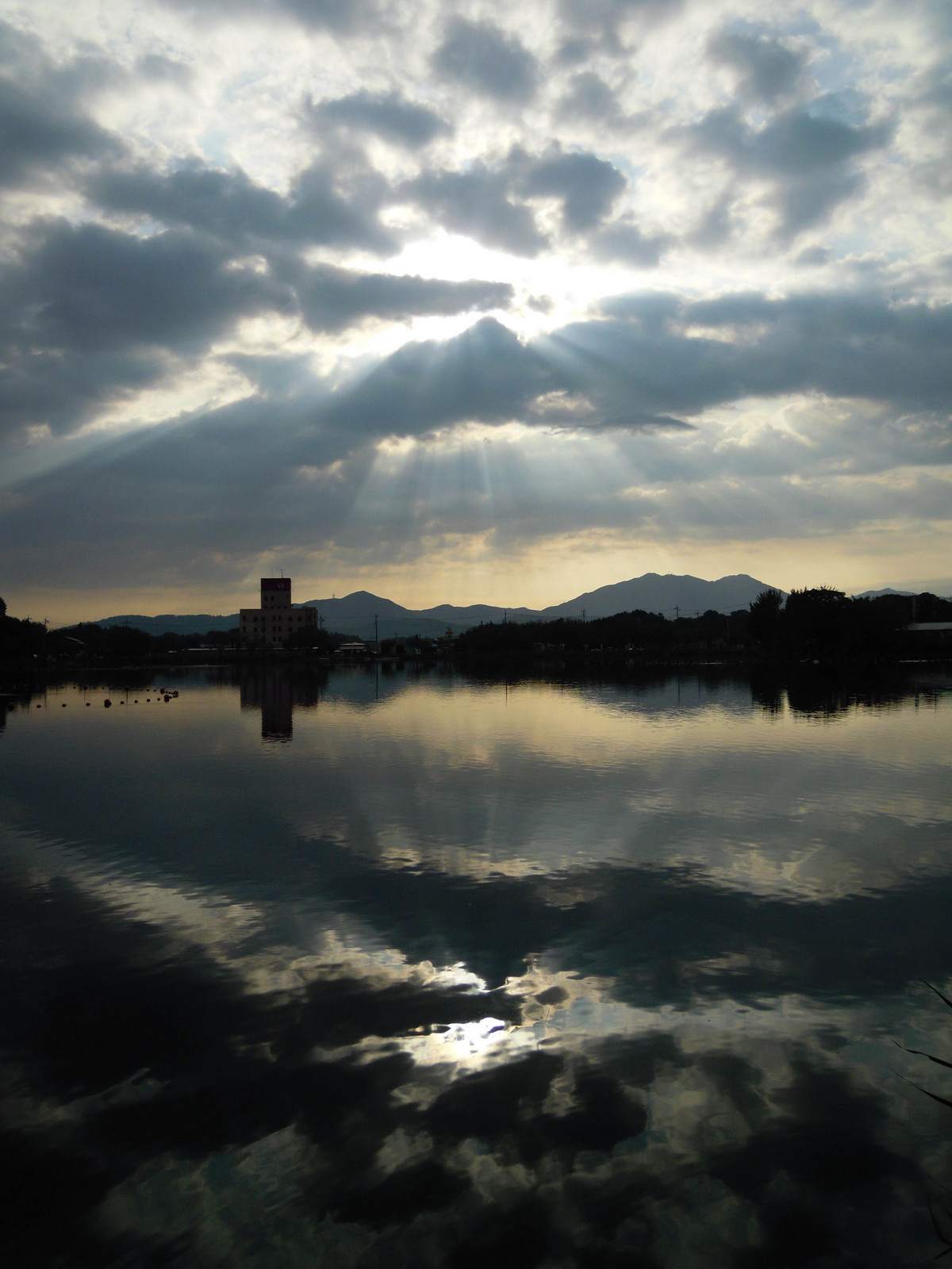 �i�����������D���I�����ǂ�V��