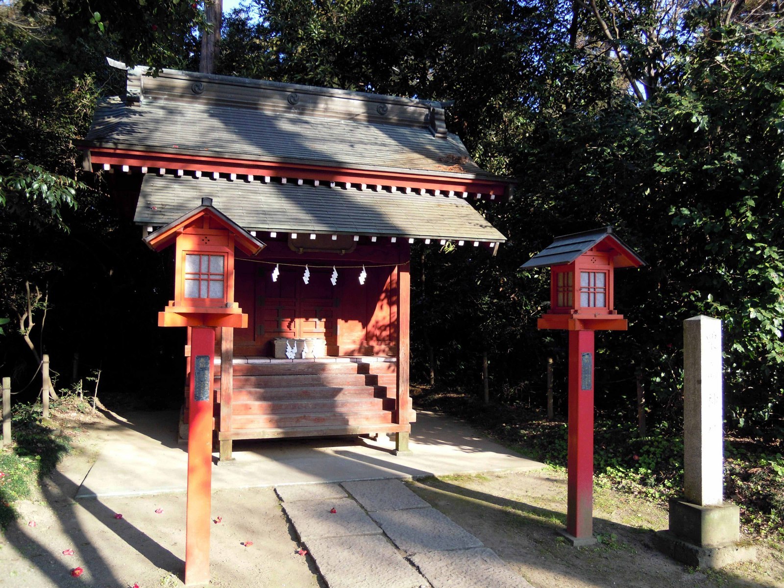 �i�����������D���I�����ǂ�V��